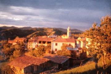 Sfoglia la galleria